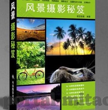 人妻av综合-探索人妻题材的多元视角与文化边界